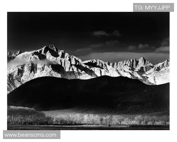 亚当斯的传奇人生与影响力探讨：从历史到现代的深远启示
