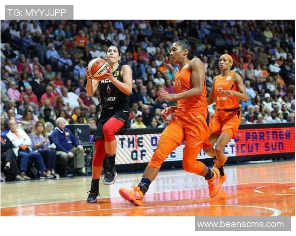 自由队与太阳队实力对比谁更强大分析与讨论