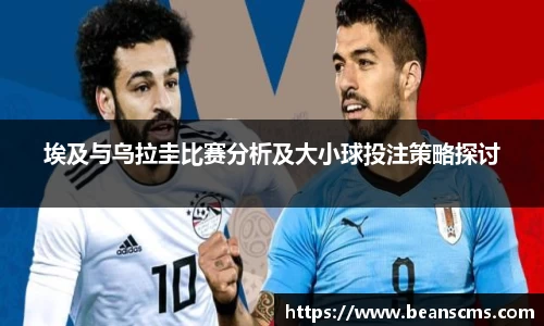 db旗舰官网
