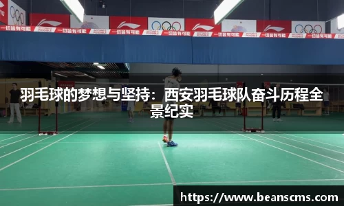 羽毛球的梦想与坚持：西安羽毛球队奋斗历程全景纪实
